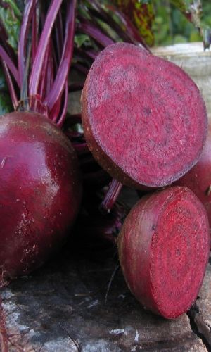 Свёкла ГЕРМАН F1