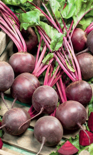 Свёкла КРЕОЛКА