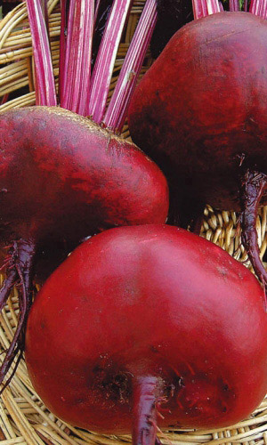 Свёкла СИБИРСКАЯ ПЛОСКАЯ