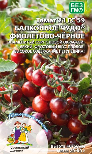 Томат БАЛКОННОЕ ЧУДО® ФИОЛЕТОВО-ЧЁРНОЕ