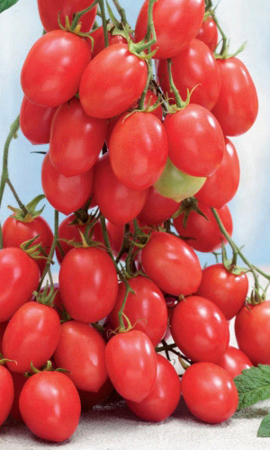 Томат ИСПАНСКИЙ РОЗОВЫЙ