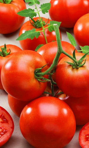 Томат МИЛЛИОНЕР F1