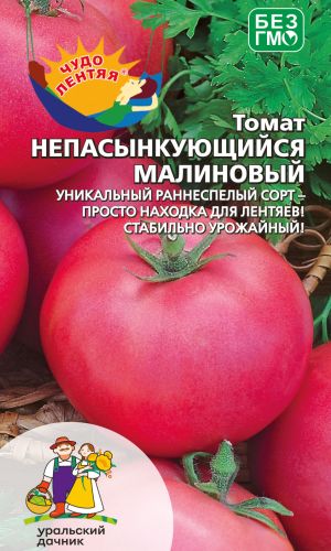 Томат НЕПАСЫНКУЮЩИЙСЯ МАЛИНОВЫЙ