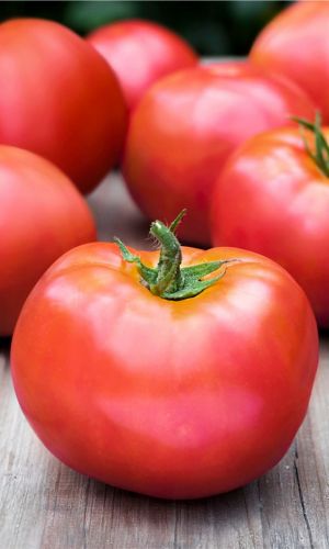 Томат НЕВСКИЙ КАРЛИК