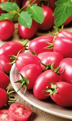 Томат НОВИЧОК РОЗОВЫЙ