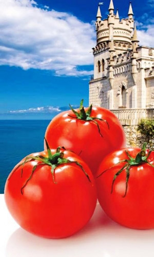 Томат НОВЫЙ ПРИНЦ