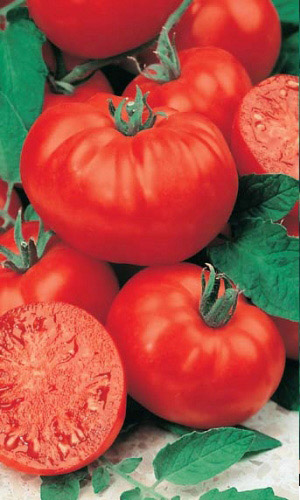 Томат ПЛАМЯ АГРО