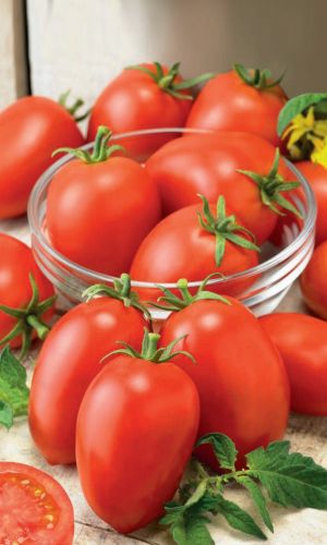 Томат РИО ФУЕГО