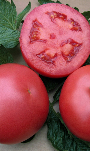 Томат РОЗОВЫЙ ФЛАМИНГО