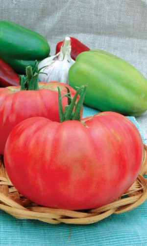 Томат РОЗОВЫЙ ГИГАНТ