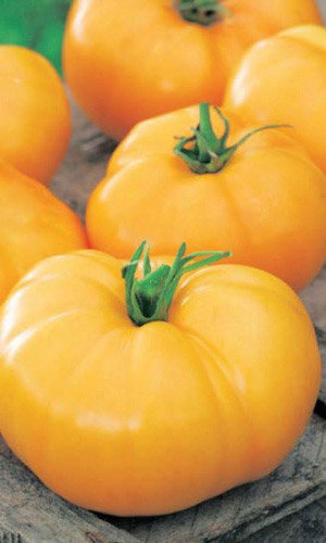 Томат РУСЛАН