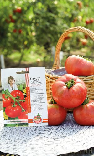 Томат СЧАСТЬЯ ПОЛНА ЧАША коллекция Татьяны Штайнерт