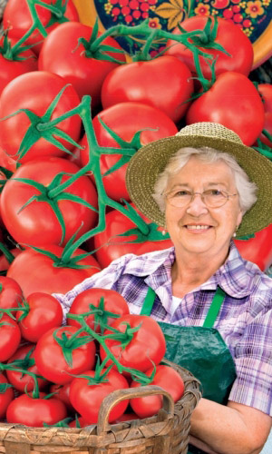 Томат СЕМЁНОВНА