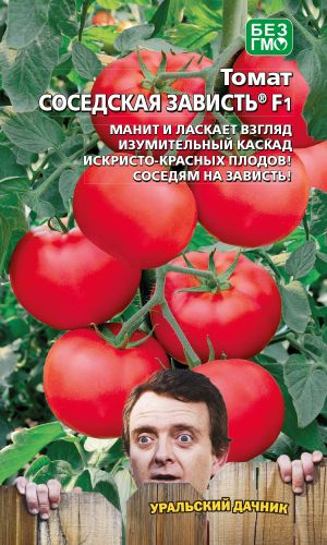 Томат СОСЕДСКАЯ ЗАВИСТЬ F1