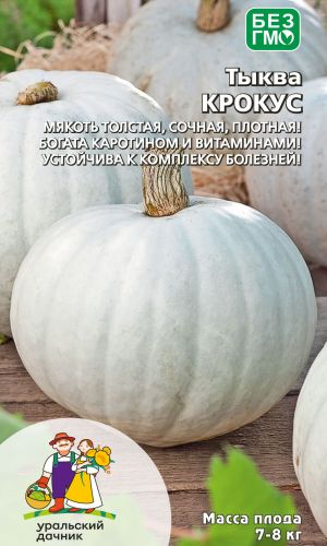 Тыква КРОКУС