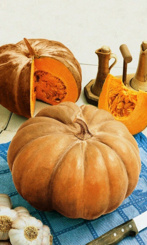 Тыква МУСКАТНАЯ ПРОВАНСКАЯ