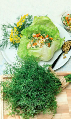 Укроп ИЗУМРУДНЫЙ УЗОР