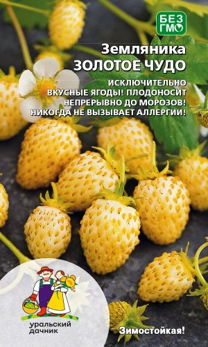 Земляника ЗОЛОТОЕ ЧУДО