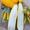 Кабачок ЖЕЛТОПЛОДНЫЙ