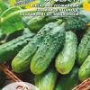 Огурец ОРФЕУС F1