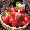 Перец ЗВЕЗДА В КРАСНОМ F1