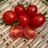 Томат 1000 и 2 ПОМИДОРКИ